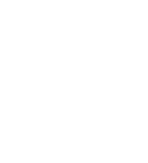 transparente_logo