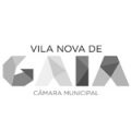 VNGAIA